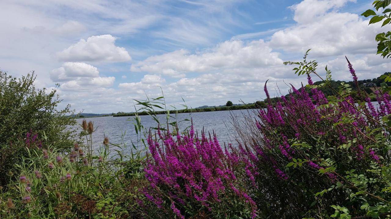 Belle Visnonia Meuble De Caractere Sud Morbihan Béganne Eksteriør billede
