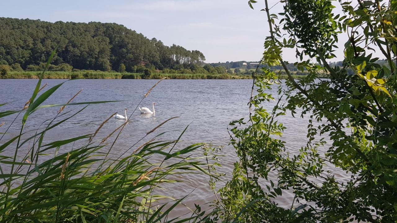 Belle Visnonia Meuble De Caractere Sud Morbihan Béganne Eksteriør billede