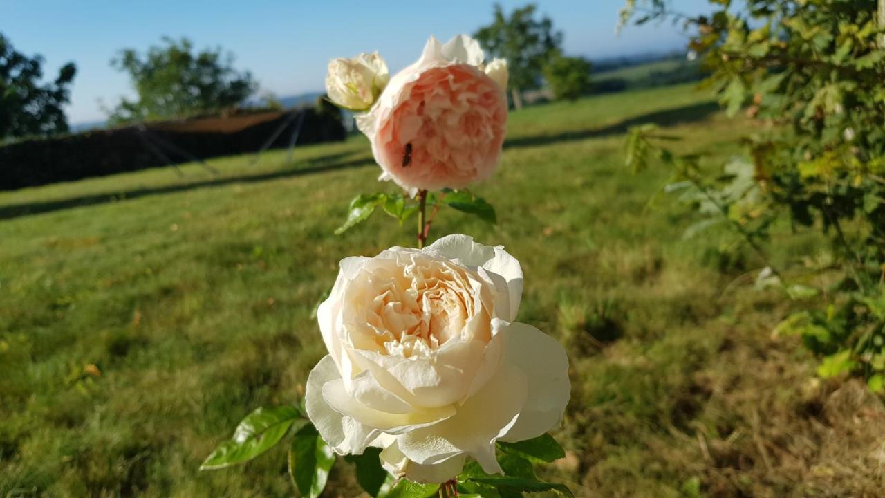 Belle Visnonia Meuble De Caractere Sud Morbihan Béganne Eksteriør billede